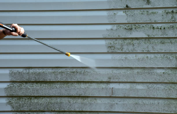 Best Residential Pressure Washing Services  in Three Oaks, FL