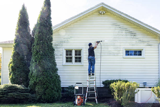 Best Roof Pressure Washing  in Three Oaks, FL