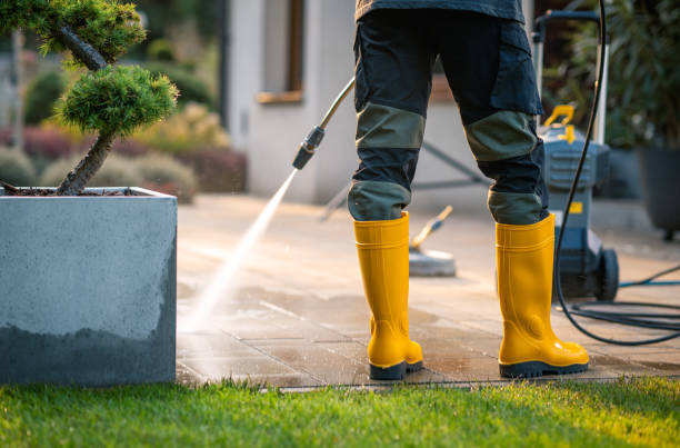 Best Pressure Washing Siding  in Three Oaks, FL